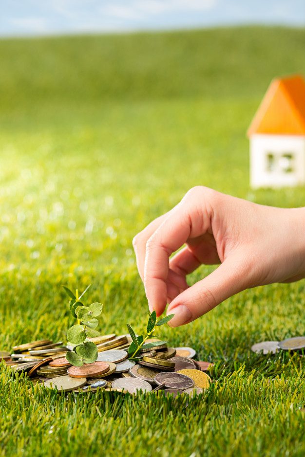 Coins on the growing grass and a small toy house