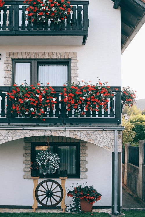 A Multifamily Residential Property with the Balconies of the Upper Stories Decorated with Red Blooms and the Lowest Window Sporting a White Bush