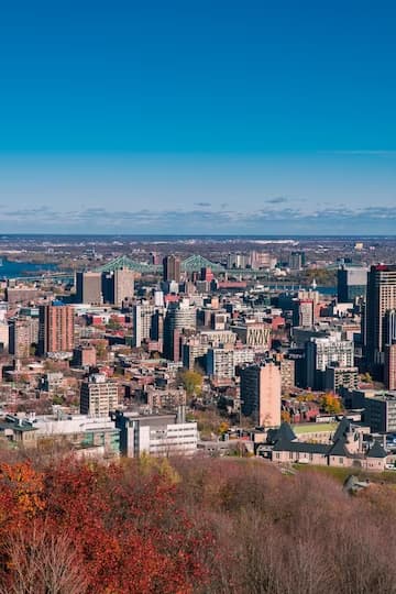 City skyline with high-rise buildings flanked by autumn foliage under a clear blue sky.