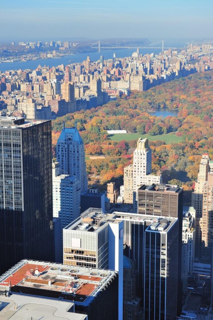 Aerial view of central park amidst the surrounding manhattan skyline during autumn.