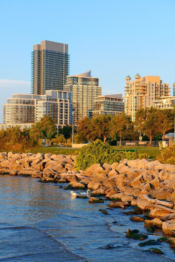 Coastal cityscape with modern buildings overlooking a rocky shoreline and a bird standing on the rocks.