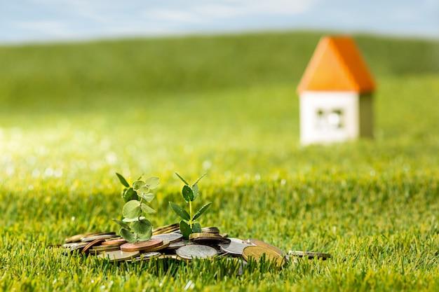 Some coins on the grass with a miniature house in the background