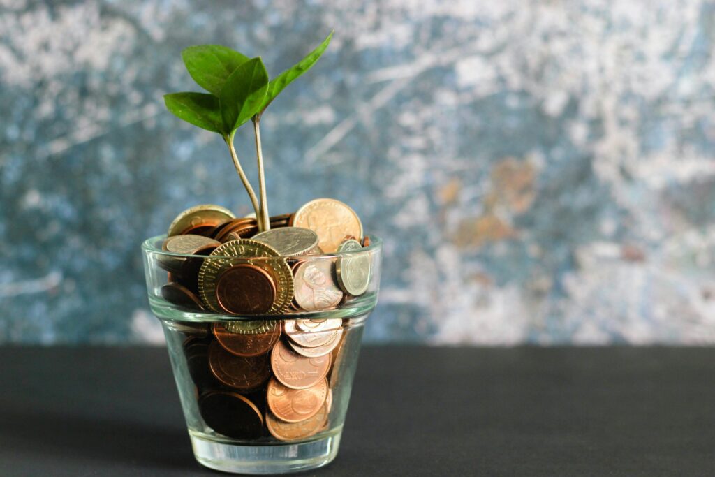 A green plant in a clear glass vase with coins in it