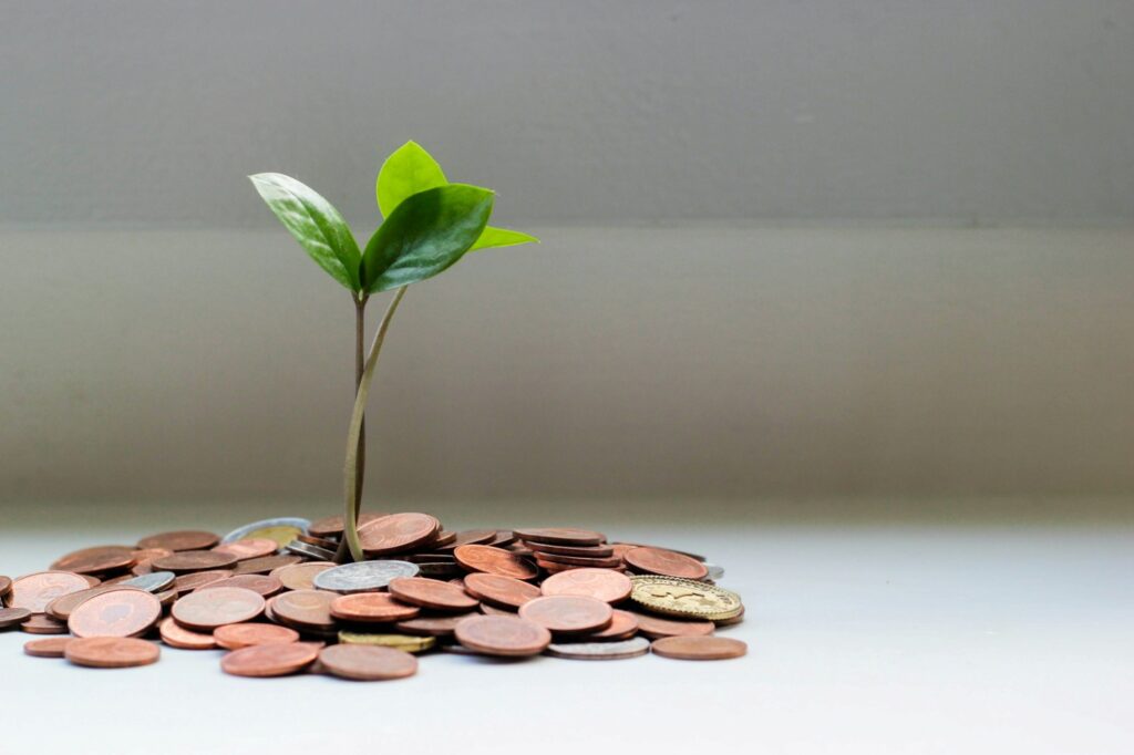 A pile of coins with a plant