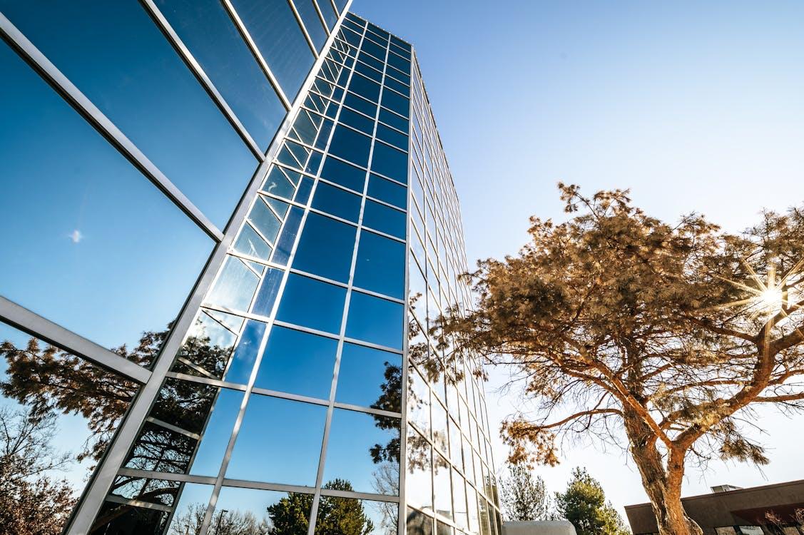 A glass building next to trees