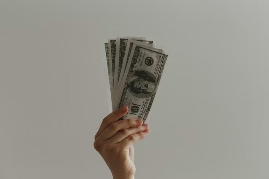 A hand holding US dollar bills 